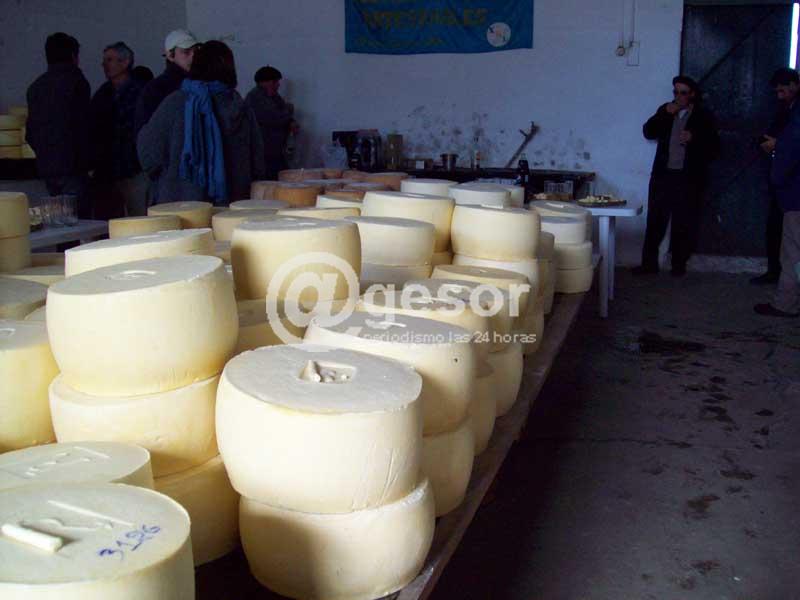 OPP aprueba  inversiones para la quesería artesanal de la región.