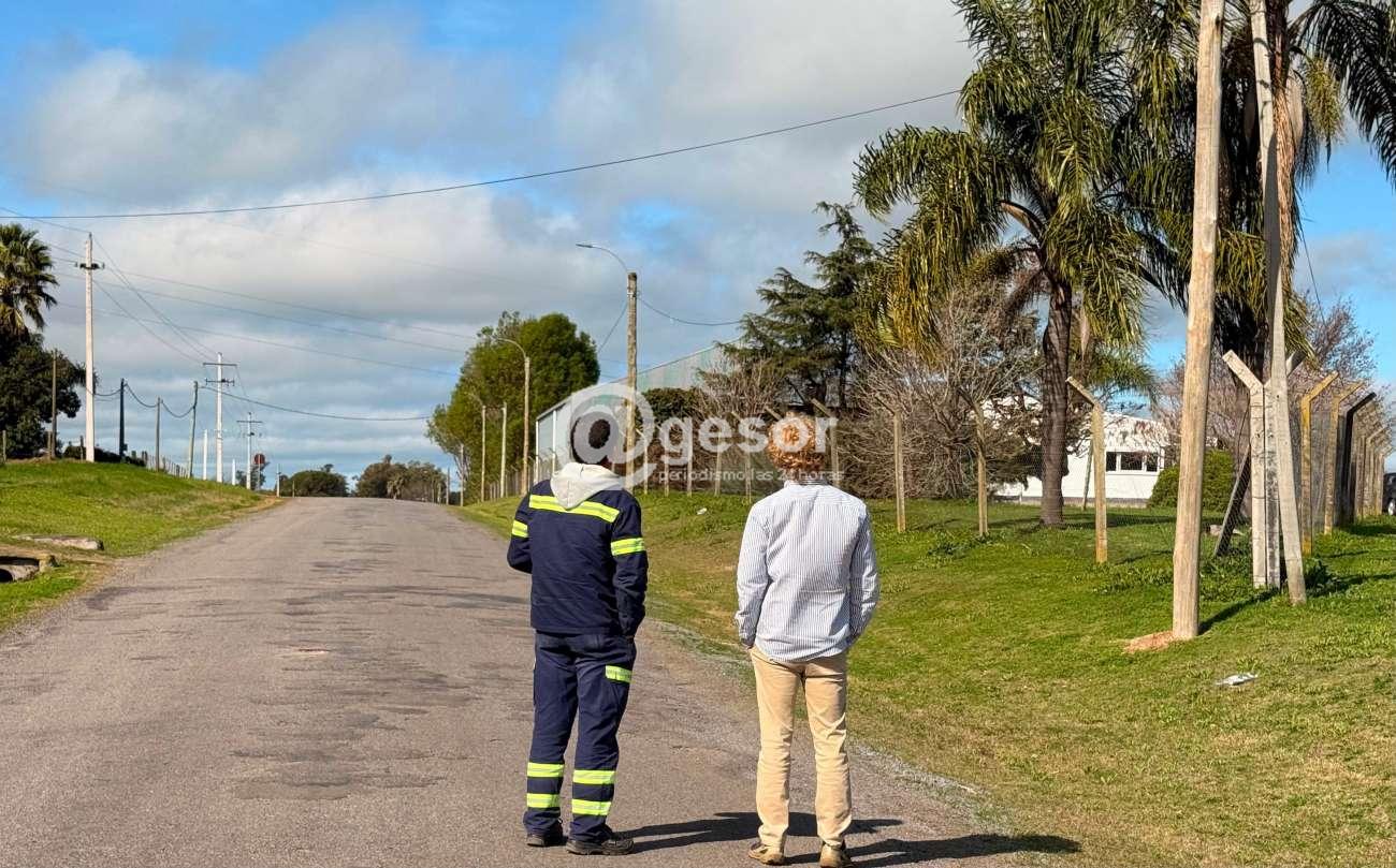 Image6