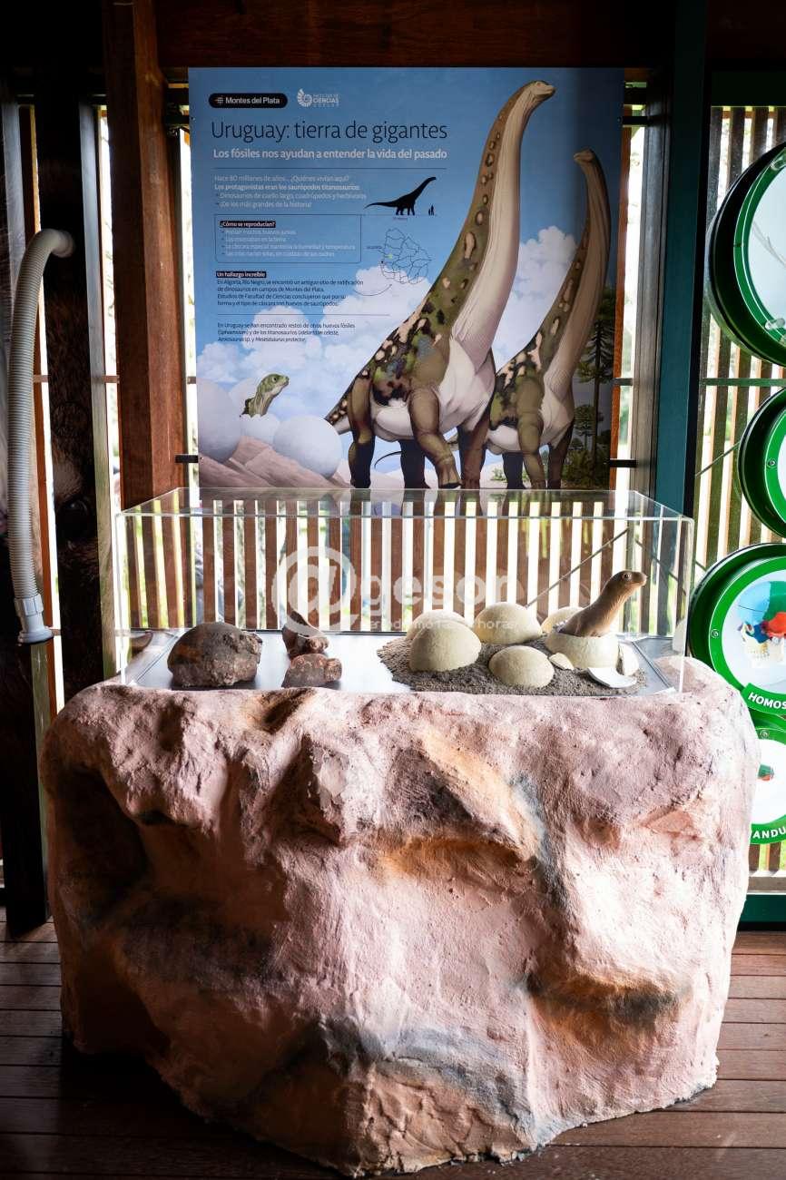 Image2