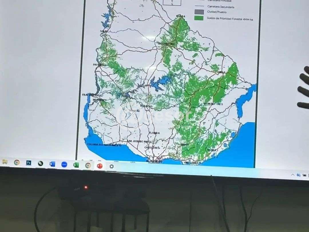 Image3