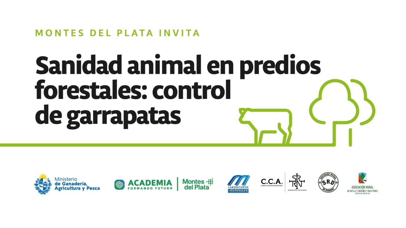 slide13