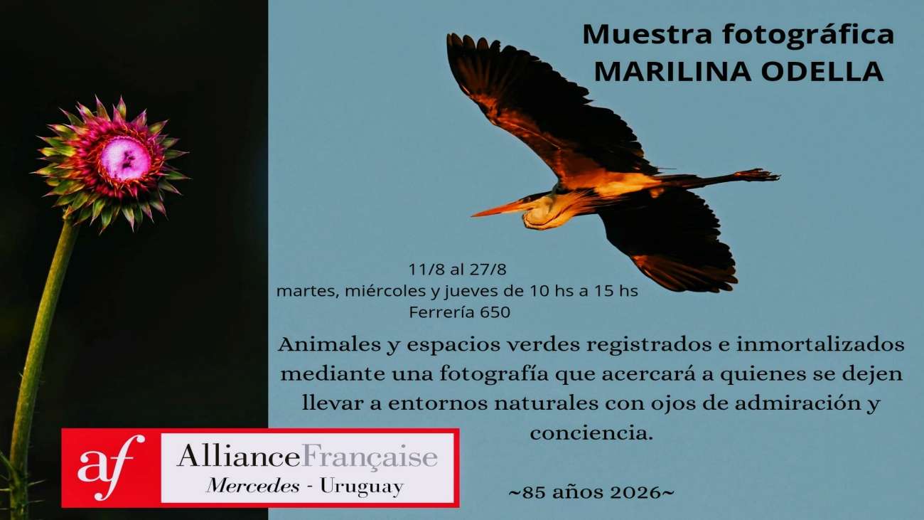 slide14